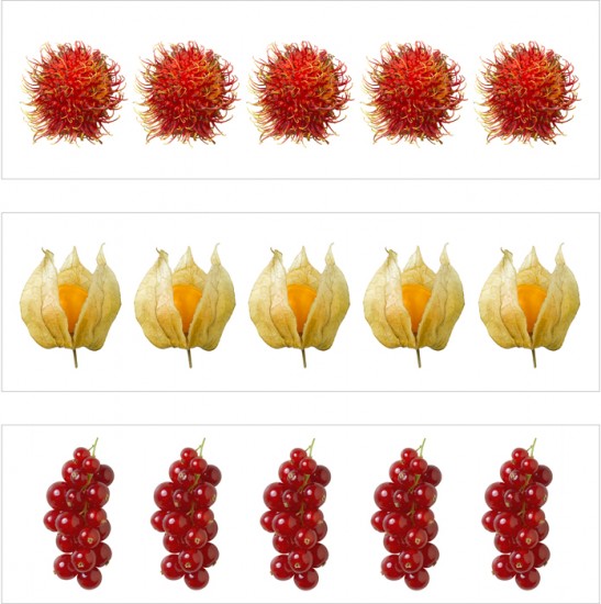 Food Photography-Ramboutans, cape gooseberries and redcurrants on canvas