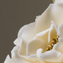 A beautiful wedding cake photographed to appear in the You and Your Wedding Magazine